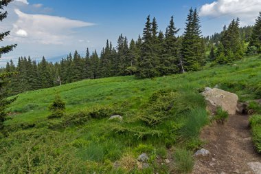 Vitosha Dağı'nın yeşil tepeli Yaz Manzarası, Sofya Şehir Bölgesi, Bulgaristan