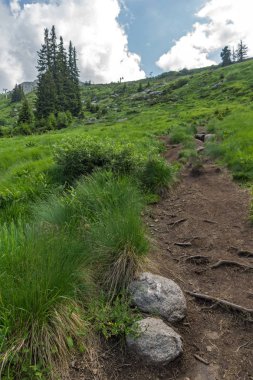 Vitosha Dağı'nın yeşil tepeli Yaz Manzarası, Sofya Şehir Bölgesi, Bulgaristan