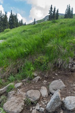 Vitosha Dağı'nın yeşil tepeli Yaz Manzarası, Sofya Şehir Bölgesi, Bulgaristan