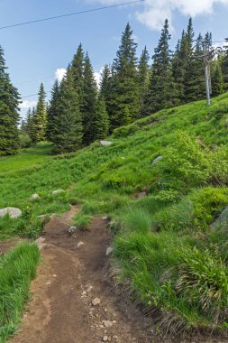 Vitosha Dağı'nın yeşil tepeli Yaz Manzarası, Sofya Şehir Bölgesi, Bulgaristan