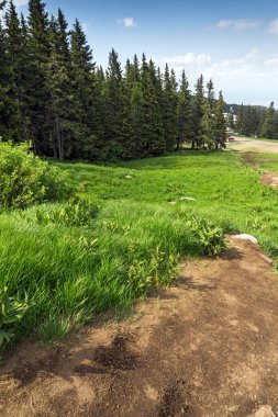 Vitosha Dağı'nın yeşil tepeli Yaz Manzarası, Sofya Şehir Bölgesi, Bulgaristan