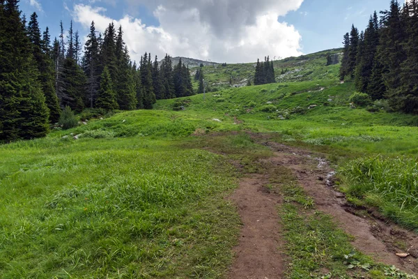 Summer Landscape Green Hills Vitosha Mountain Sofia City Region Bulgaria — Stock Photo, Image