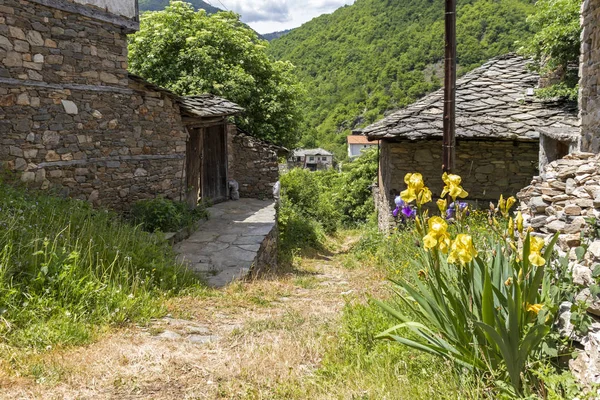 Kosovská Vesnice Domy Devatenáctého Století Okres Plovdiv Bulharsko — Stock fotografie