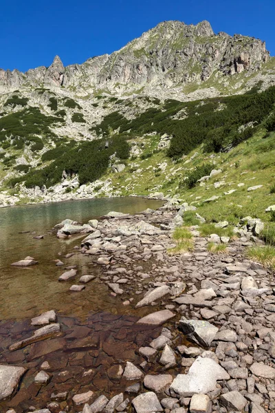 萨莫迪耶夫斯基湖景观，皮林山，保加利亚 — 图库照片