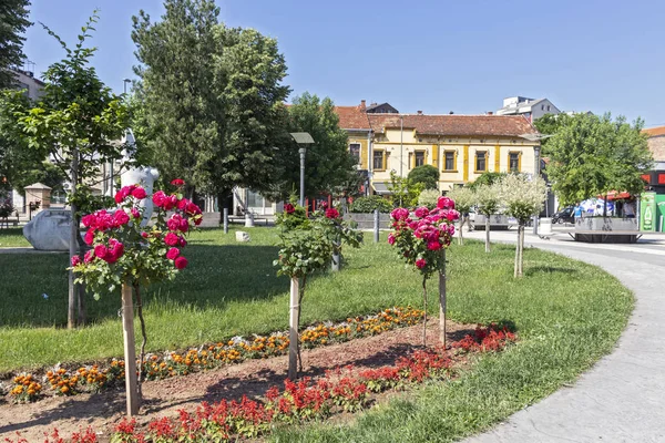 皮罗特中央广场，塞尔维亚南部和东部 — 图库照片