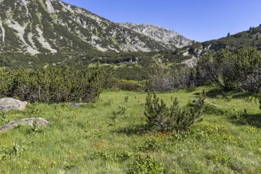 Balık Gölleri yakınlarındaki manzara, Rila dağı, Bulgaristan