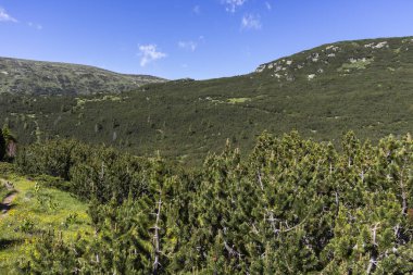 Balık Gölleri yakınlarındaki manzara, Rila dağı, Bulgaristan