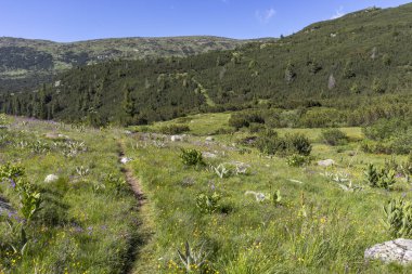 Balık Gölleri yakınlarındaki manzara, Rila dağı, Bulgaristan