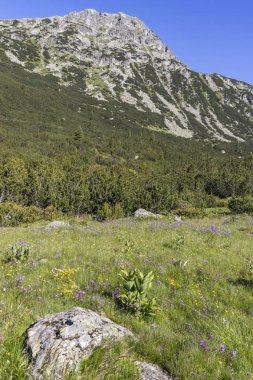 Balık Gölleri yakınlarındaki manzara, Rila dağı, Bulgaristan