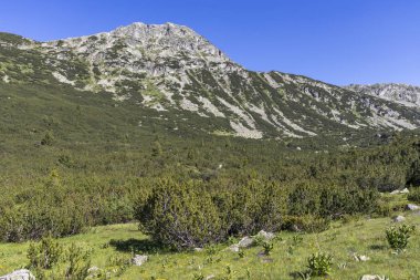 Balık Gölleri yakınlarındaki manzara, Rila dağı, Bulgaristan