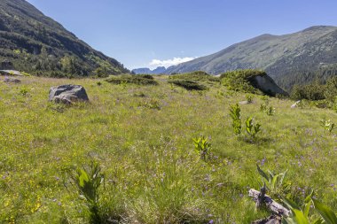 Balık Gölleri yakınlarındaki manzara, Rila dağı, Bulgaristan