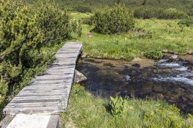 Balık Gölleri yakınlarındaki manzara, Rila dağı, Bulgaristan