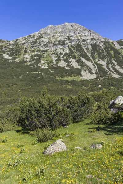 Paysage près de The Fish Lakes, Montagne Rila, Bulgarie — Photo