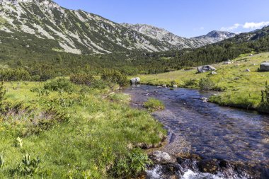 Balık Gölleri yakınlarındaki manzara, Rila dağı, Bulgaristan
