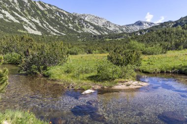 Balık Gölleri yakınlarındaki manzara, Rila dağı, Bulgaristan