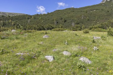 Balık Gölleri yakınlarındaki manzara, Rila dağı, Bulgaristan