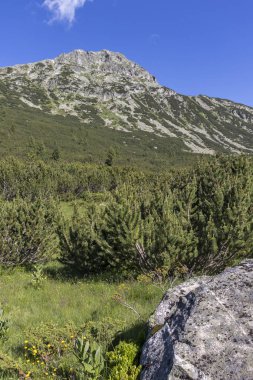 Balık Gölleri yakınlarındaki manzara, Rila dağı, Bulgaristan