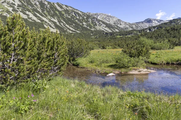 Landscape near The Fish Lakes, Rila mountain, Bulgaria — Stock Photo, Image