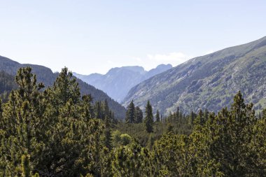 Balık Gölleri yakınlarındaki manzara, Rila dağı, Bulgaristan