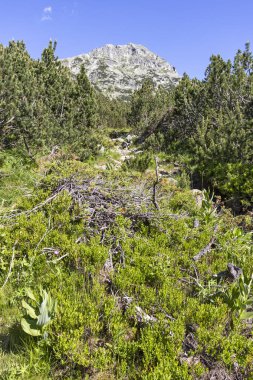 Balık Gölleri yakınlarındaki manzara, Rila dağı, Bulgaristan