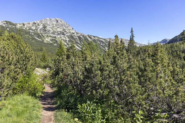 Paisaje cerca de The Fish Lakes, Montaña Rila, Bulgaria — Foto de Stock