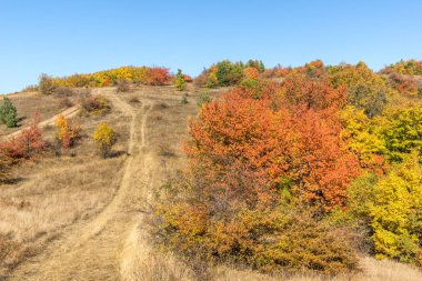 Cherna Gora dağının sonbahar manzarası, Bulgaristan