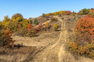 Cherna Gora dağının sonbahar manzarası, Bulgaristan