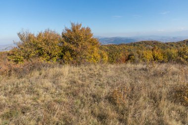Cherna Gora dağının sonbahar manzarası, Bulgaristan