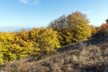 Cherna Gora dağının sonbahar manzarası, Bulgaristan