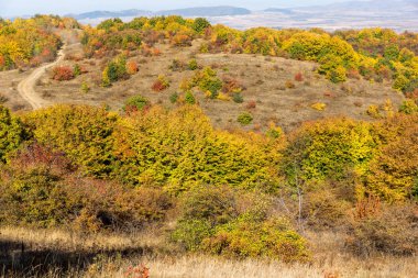 Cherna Gora dağının sonbahar manzarası, Bulgaristan