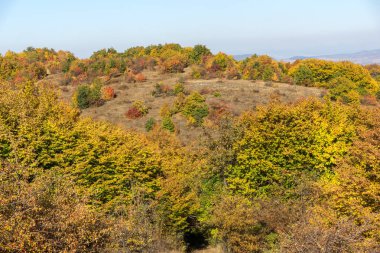 Cherna Gora dağının sonbahar manzarası, Bulgaristan