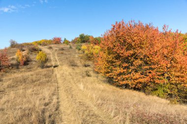 Cherna Gora dağının sonbahar manzarası, Bulgaristan