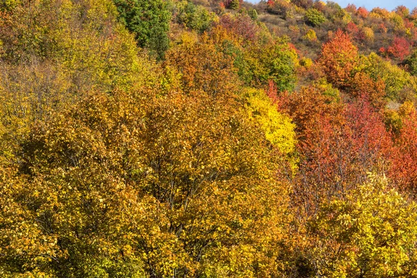 Vista de otoño de la montaña Cherna Gora, Bulgaria — Foto de Stock