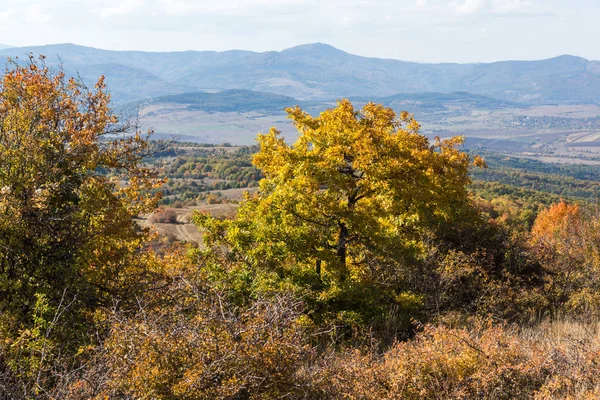 Vista de otoño de la montaña Cherna Gora, Bulgaria — Foto de Stock