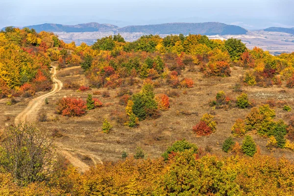 Jesienny widok na górę Cherna Gora, Bułgaria — Zdjęcie stockowe