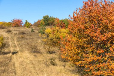 Cherna Gora dağının sonbahar manzarası, Bulgaristan