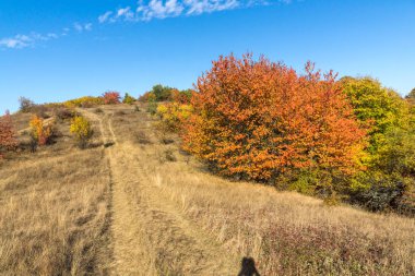 Cherna Gora dağının sonbahar manzarası, Bulgaristan