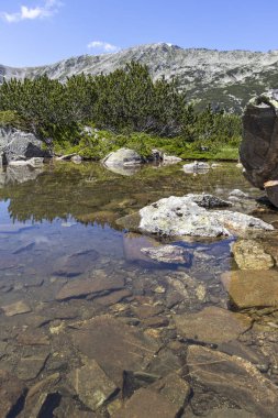 Kokuşmuş Göl (Smradlivoto Gölü), Rila dağı, Bulgaristan