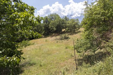 Ograzhden Dağı Manzarası, Bulgaristan