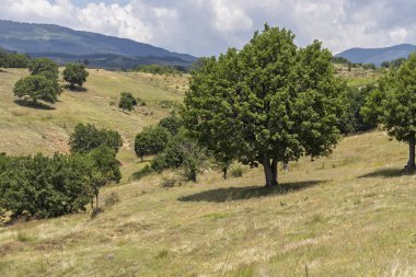 Ograzhden Dağı Manzarası, Bulgaristan