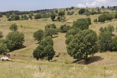 Ograzhden Dağı Manzarası, Bulgaristan