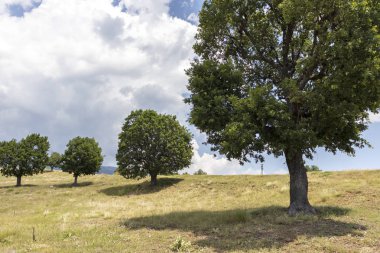 Ograzhden Dağı Manzarası, Bulgaristan