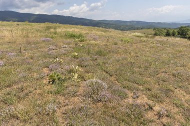 Ograzhden Dağı Manzarası, Bulgaristan