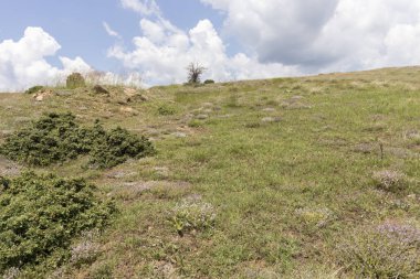Ograzhden Dağı Manzarası, Bulgaristan