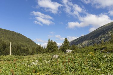 Tiha Rila, Rila Dağı, Bulg bölgesinden Stinky için Trail