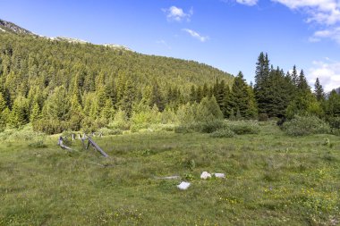 Tiha Rila, Rila Dağı, Bulg bölgesinden Stinky için Trail