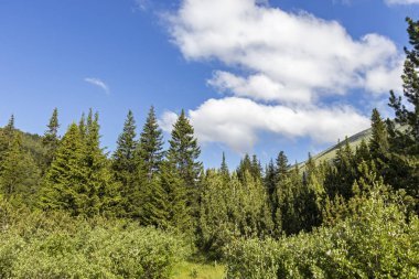 Tiha Rila, Rila Dağı, Bulg bölgesinden Stinky için Trail