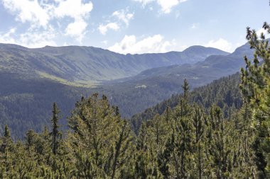 Tiha Rila, Rila Dağı, Bulg bölgesinden Stinky için Trail