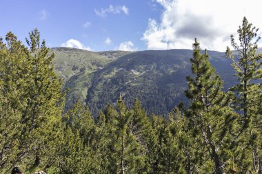 Tiha Rila, Rila Dağı, Bulg bölgesinden Stinky için Trail
