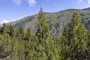 Tiha Rila, Rila Dağı, Bulg bölgesinden Stinky için Trail